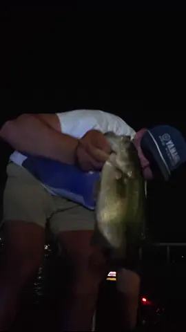 Catching bass in the middle of the night👀