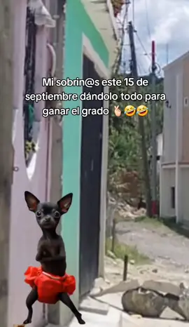 #humor #fypシ゚ #septiembre15 #😂😂😂 