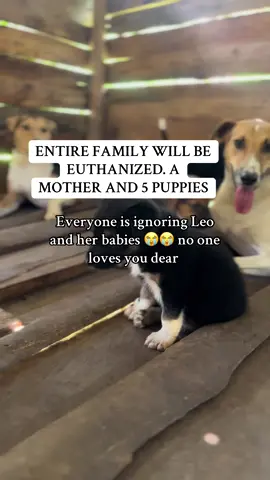 Sharing is caring and caring is love 