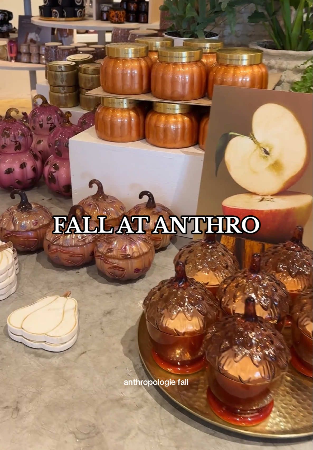 haunted by all the cute fall finds 🦇🍂 #anthropologiefinds #fallhomedecor #halloweendecor 