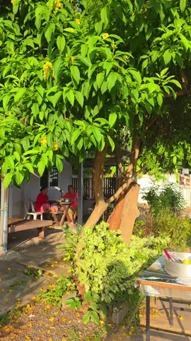 บ้านเฮามันกะส่ำนี้ล่ะ 🤍 #บ้านต่างจังหวัด #บ้านนอก #วิถีชีวิตอีสานบ้านเฮา #ความสุข #บ้านฉัน 
