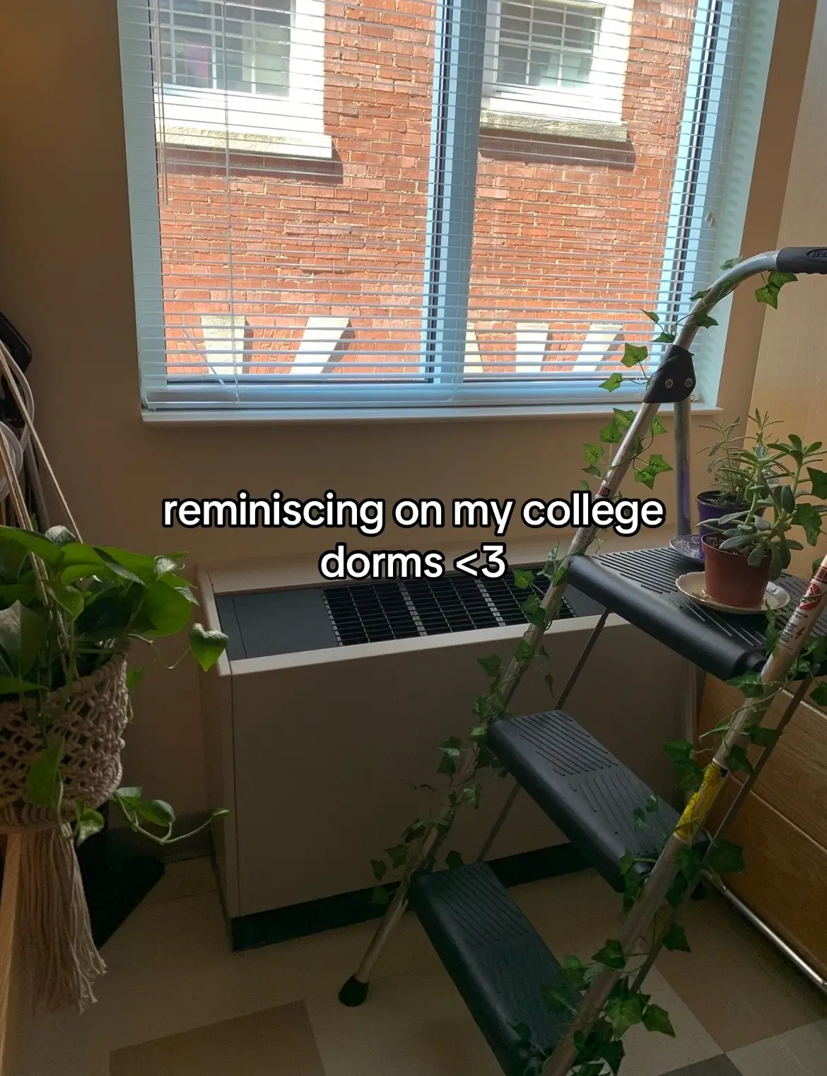overall: i was pretty lucky with my dorms. college is hard! but you’ll make it though!! 