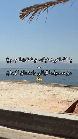 عبدالله بن شايق#شيله#foryoupage #fyp #fyp #foryou 