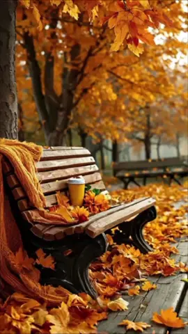Amante de esta Estación del Año#parati #foryou #Otoño