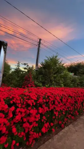 Bầu trời hôm nay lạ quá 🥰🥰🥰