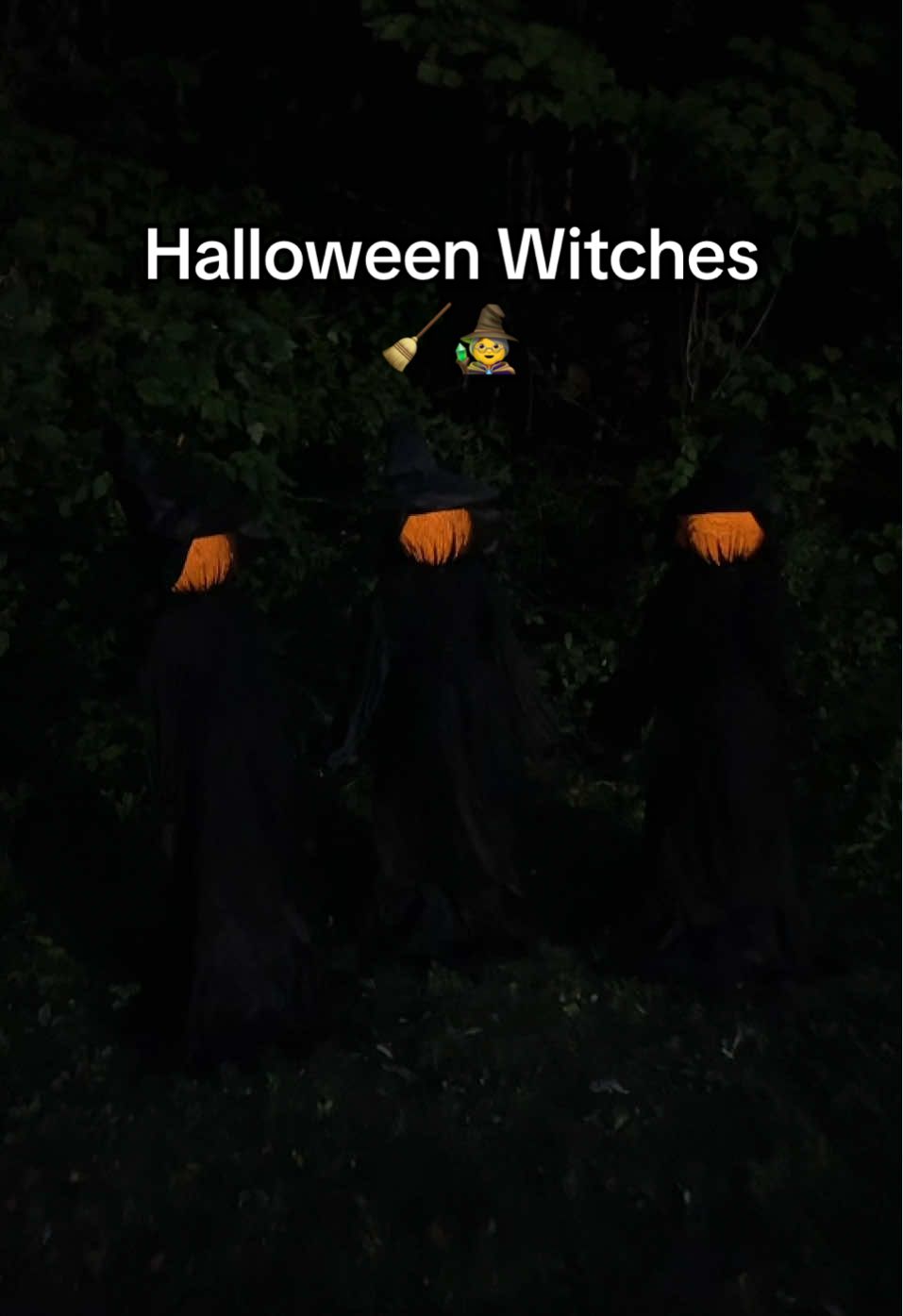 The 3 sister witches from @QVC, Inc are a fun and scary way to decorate for Halloween! They are battery operated and assembly only takes a few minutes. #halloweendecorations #halloweenwitches #sisterwitches #creepy 