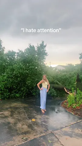 The tree fell down