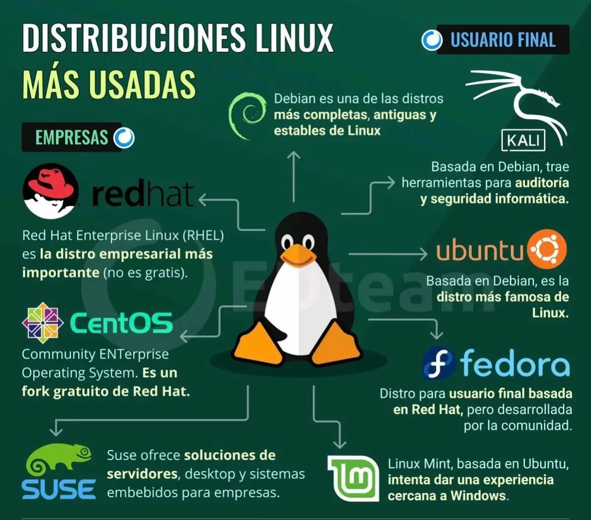 Distribuciones Linux más usadas! 💻 Desde Red Hat para empresas, Ubuntu como la más famosa, hasta Kali para seguridad y Linux Mint con vibe Windows. 🐧 ¿Cuál es tu favorita? ¡Comenta y comparte!  #linux #Tech #Ubuntu #Kali #ciberseguridad 