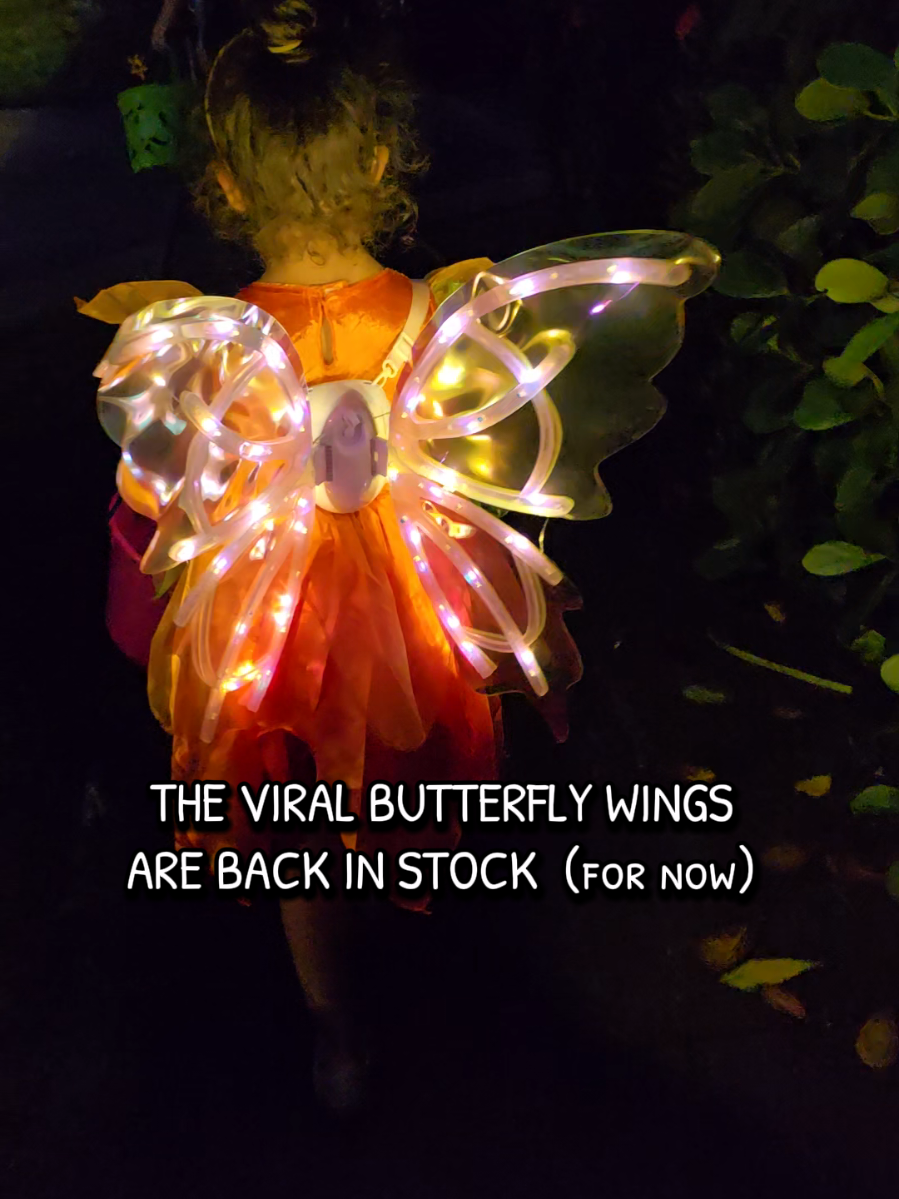 So many people stopped us to ask where to buy these light up wings! #butterflywings #fairywings #lightupwings #kidstoy #giftforkids 