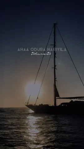 Ingu aadura nariyila Pala nari kulla narithaan #nilaadhuvanathumele #ilayarajamusic #ilayaraja #statusvideotamil #lunadesolate 