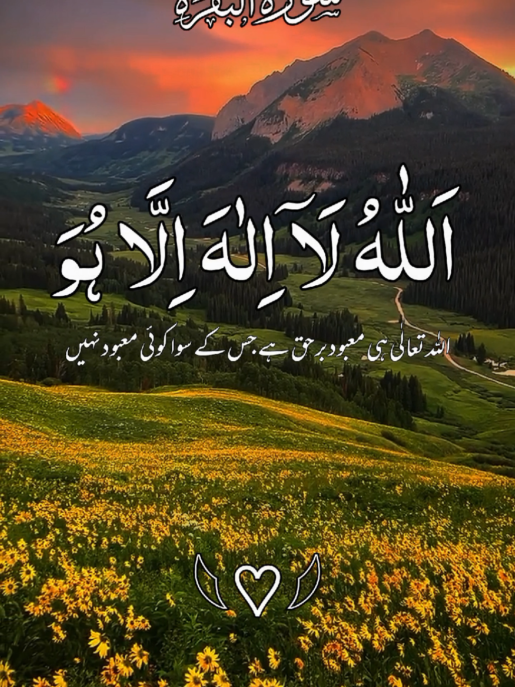 #آیت_الکرسی #سورة_البقرة #راحة_نفسية_للقلب🤲📿💕 #foryuopage #foryuopage @TikTok UK @tiktok creators @TikTok 