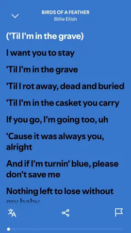 BIRDS OF A FEATHER - Billie Eilish  #billieeilish #fyp #spotify #fullsong #billie 