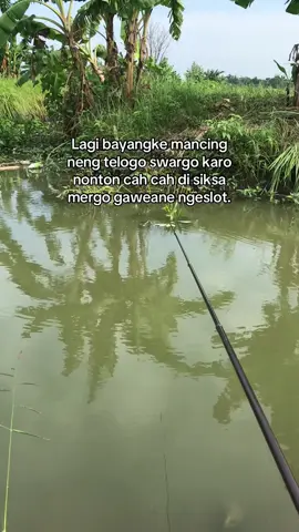 Iseh mending kedanan mancing daripada kedanan slot 🎣 @Hendri Setiawan #mancing #mancingikan #mancingikannila #orca #orcaprime 