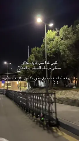 ارجعو يالمصيفين 😞. #CapCut #الباحة_الجنوب #غابة_رغدان🖤 