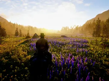 #rdr2 #reddeadredesption2 