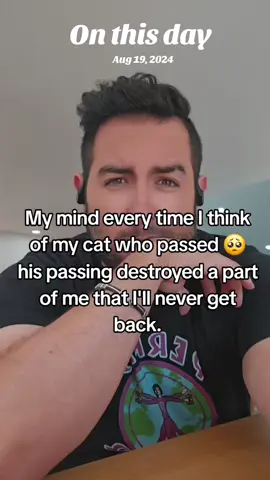 #onthisday Leo was my best friend 🥲💔 #fyp #foryoupage #grief #catlover 