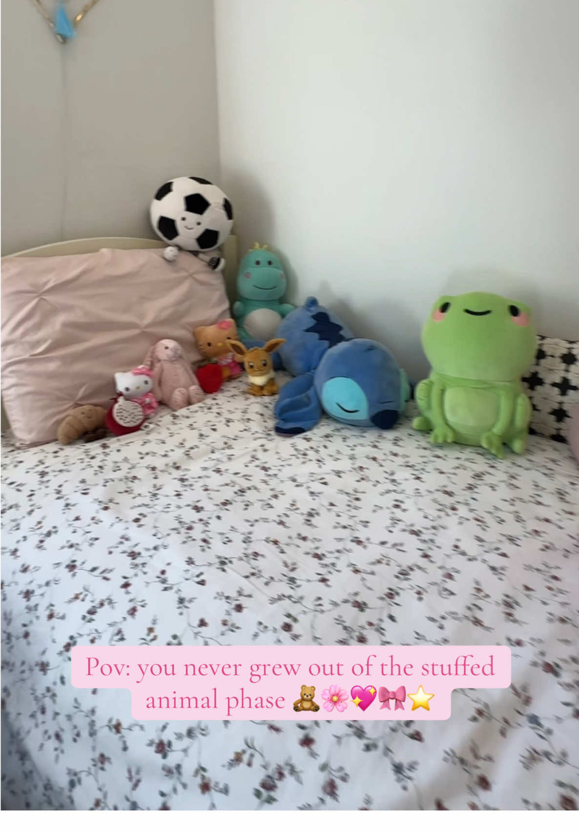 they’re the cutest little things #jellycat #hellokitty #stitchplush #frog #stuffedanimal 