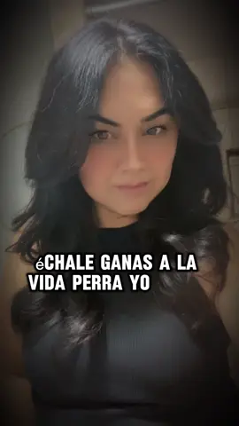 #CapCut 
