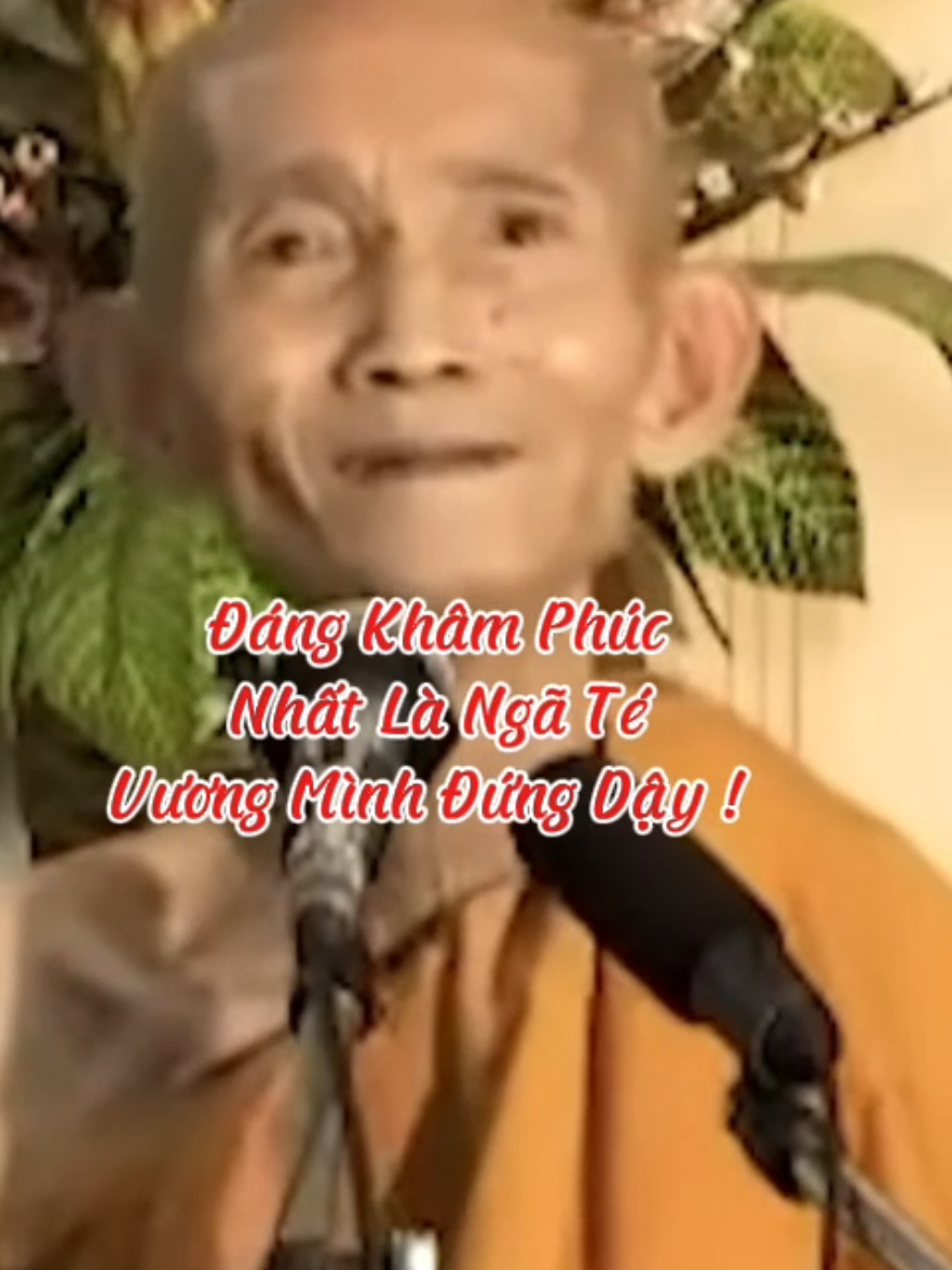 Đáng khâm phục nhất là ngã té vương mình đứng dậy #loiPhatday #ThichGiacKhang #thongdiepcuocsong #nhungcaunoihay #xuhuongtiktok 