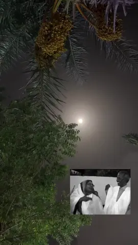 فكرتُ عنكِ خيفة تتعبِى لكنَّهُ ليسَ لهُ تفْسيرا حبِيبتى إنّنِى إذا متُ يومًا                          أحكى حبَّنا منكراً ونكيرا