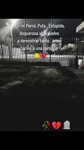 🥀🪦💔 
