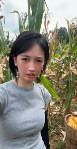 遇见山海   #Min #min_vlog #guizhaugirl #mountaingirl #vlogrurallife 