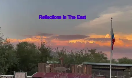 “Reflections” #TheL💜veF🌎rce #@DariaSemikina