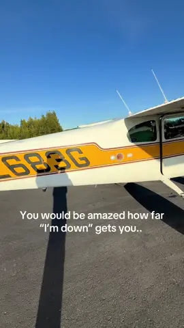 Met this guy at a bbq.  Now I’m buzzing it in his plane cruising for moose.  #CapCut #imdown #AlaskaAdventures #FYP#plane 