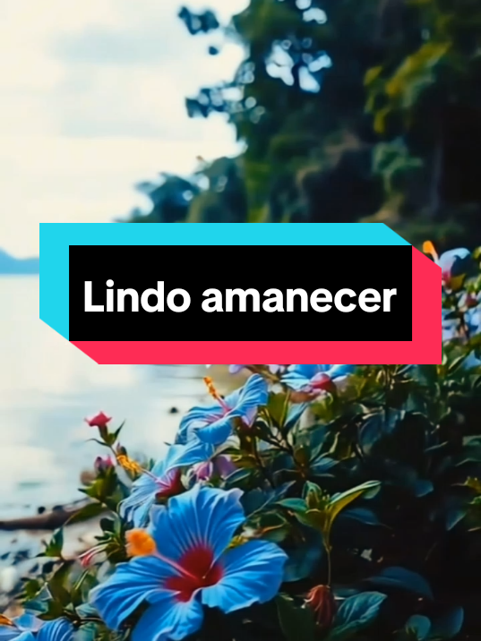 Lindo amanecer #CapCut #venezuela🇻🇪 #lindoamanecer #llanera #buenosdias 