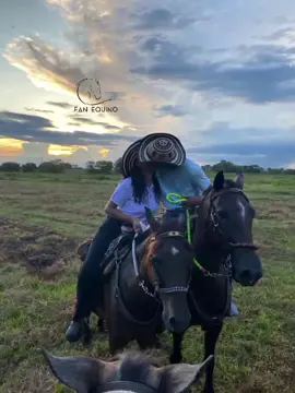 Para dedicar 🫶🏼 #parejas #equino #bonito #atardecer #paratiiiiiiiiiiiiiiiiiiiiiiiiiiiiiii 