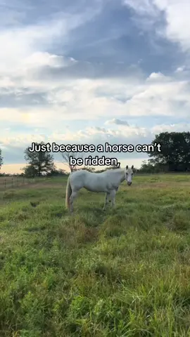 They still deserve the same love and care #equestrian #seniorhorses #retiredhorses 