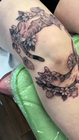Cat knee #fyp #foryoupage #michigan #cats #tattoos 