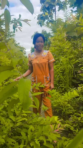 ဆေးလိပ်နဲ့မီးခြစ် #အစိမ်းရောင်နယ်မြေ💚💚💚💚💚  #followerပေးကျပါအုန်း #fpy #viwerstiktok #viuesyou1000k #followerပေးကျပာအုန် 