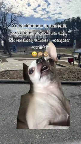 😄😄😄#tiktok #fyyyyppppppp #nuevodia☘️🎶🎧☺️😉😊😚☘️🎧🎶 