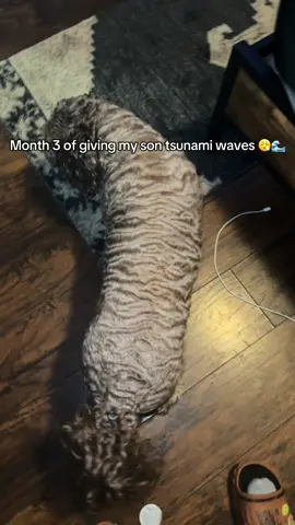 Show me a wavier dog, we’ll go wave for wave 😂 #fyp #funny #waves #trending 
