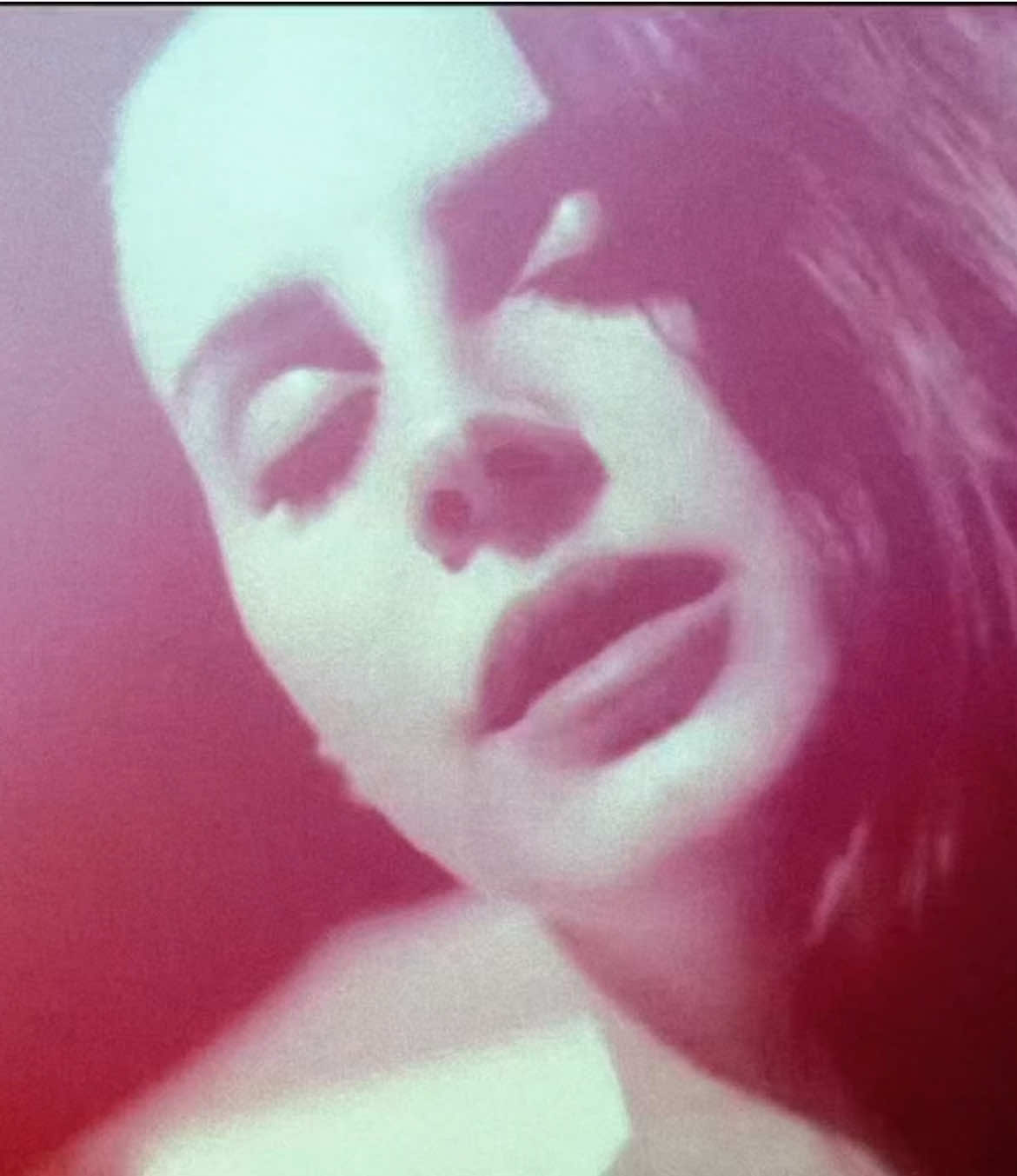 lana del rey at hollywood forever cemetery (2014) #lanadelrey #lanadelreyedit #lanatok #ldr #ultraviolence 