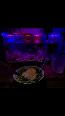 Sáng đi làm tới khuya về ăn mì gói 🥲 #64vinhlong #xuhuong 