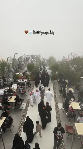 بدأ موسم الطائف ☂️🌧️ #الطايف_الان #ضباب #الشفا #امطار 