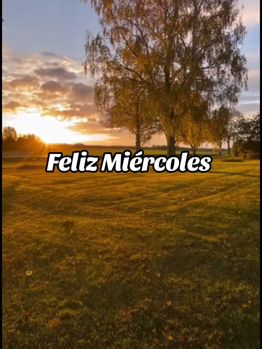 #felizmiercoles 