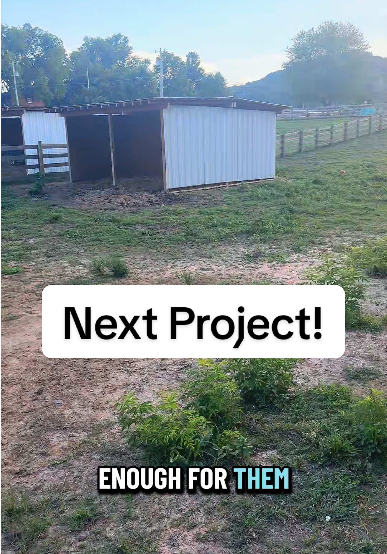Next mini farm project!🐴 #drylot #minifarm 