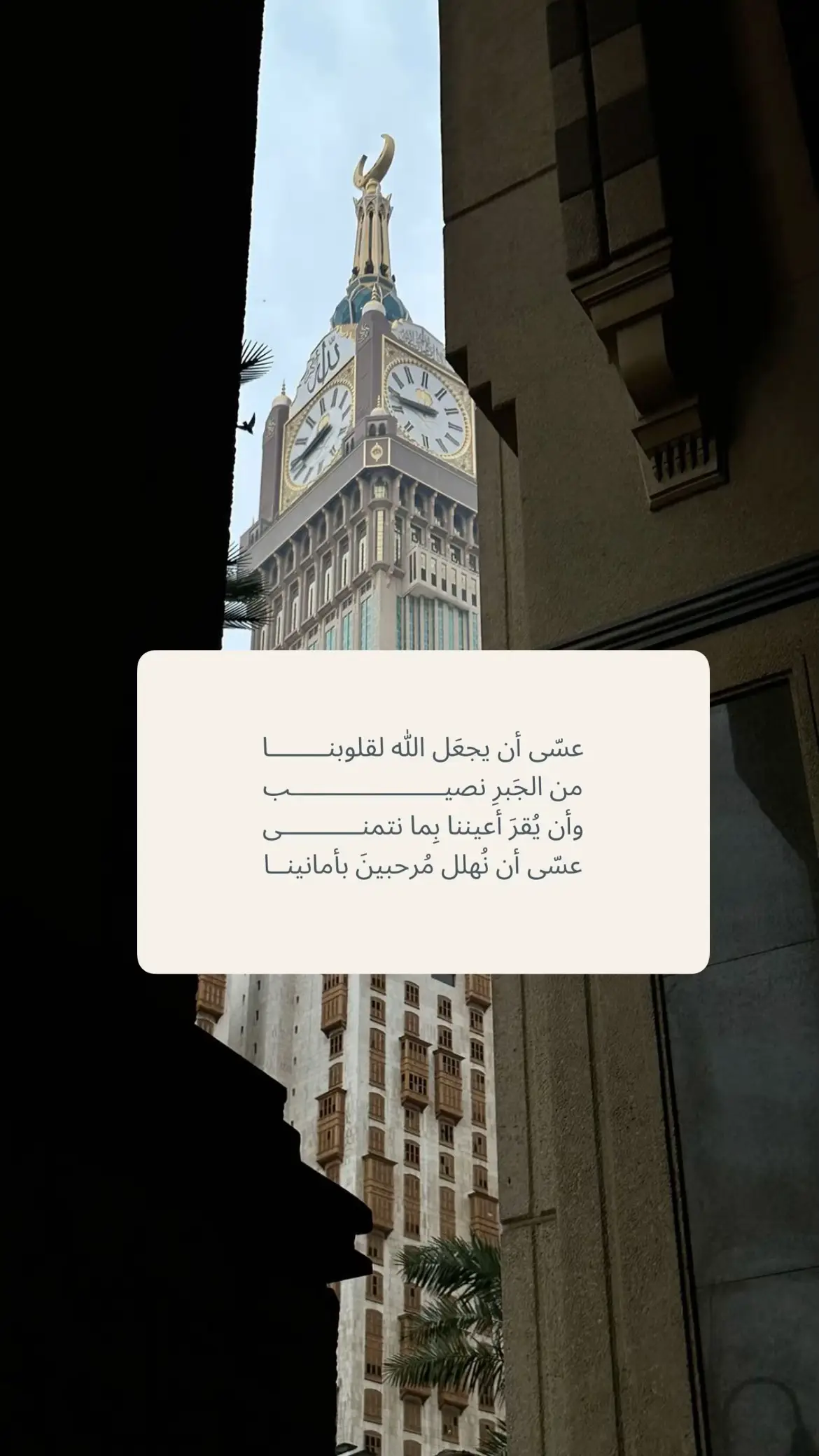 لاحول ولا قوة الا بالله #فذكر_فإن_الذكرى_تنفع_المؤمنين #لاحول_ولا_قوة_الا_بالله_العلي_العظيم #لا_اله_الا_انت_سبحانك_اني_من_الظالمين #الله_يكتب_لنا_ولكم_الاجر 