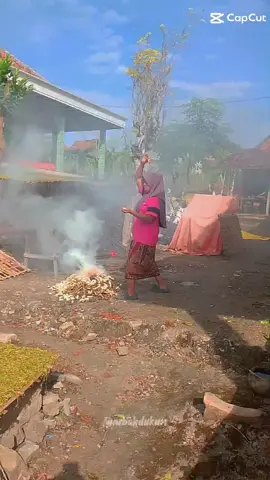 Tokang Sarang