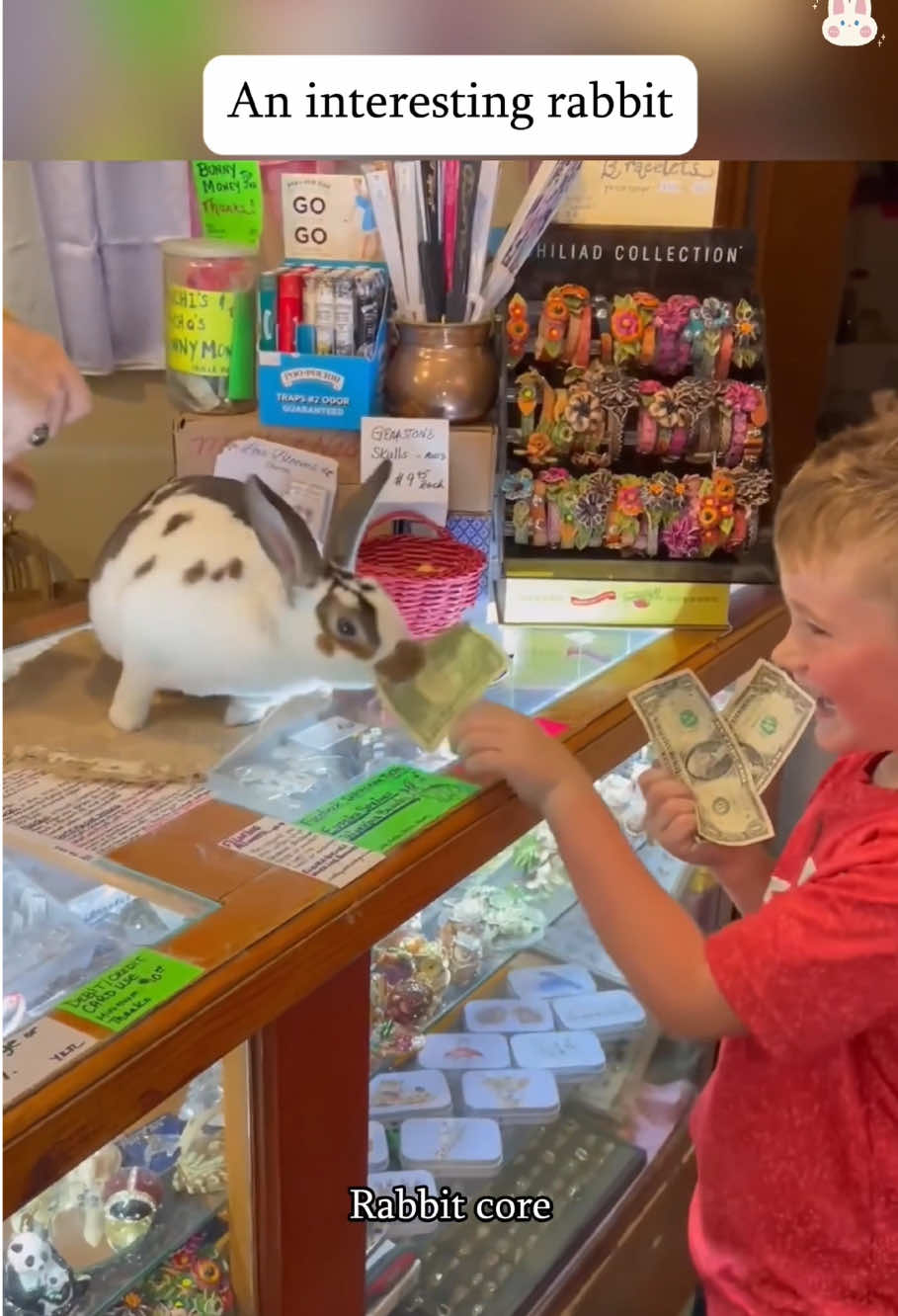 An interesting rabbit#rabbit #rabbitsoftiktok #fyp #funnyvideos #animal 