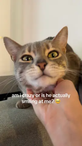 when a cat slowly blinks at you >>>