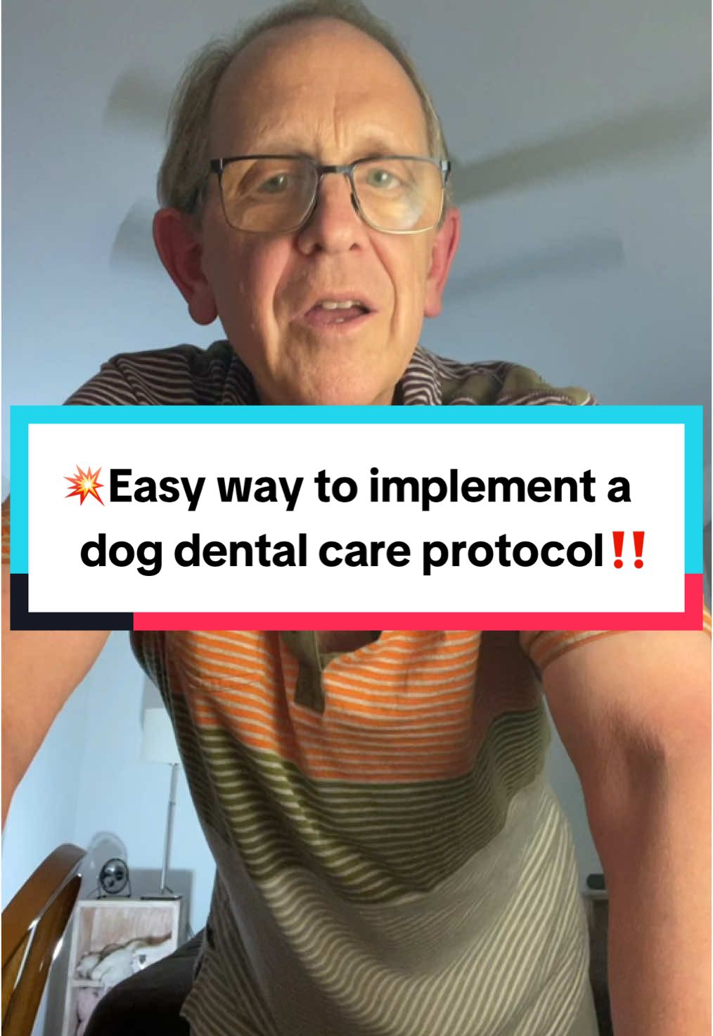 💥If you knew the ugly truth about pet dental health, you would implement a dental care protocol today  😮‼️ . . #dealsforyoudays #superbrandclub #summertransformation #summersales #tiktokshopcreatorpicks #backtoschool #doghealth #doghealthtips #dogtips #dogwellness #dogsupplements #dogsupplies #dogessentials #dogmom #dogdad #dogparents #dogowner #dogdental #dogdentalhealth #dogdentalhygiene #dogdentalcare #dogoralhealth #dogoralcare #dogguthealth #dogteeth #dogteethcleaning #dogbreath #dogbreathstink #oralmicrobiome #gutmicrobiome #petlife #dogpack  @Native Pet 