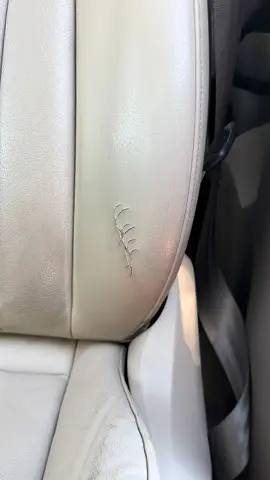 #audi #carsoftiktok #2025 #automotive #clean 