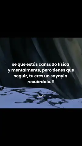 #frases #dragonballz #mundodragonball #anime #vegeta 