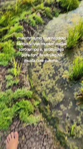 #story #katakatabugis #bugispride🏝️🔥 #fypagee #fyppppppppppppppppppppppp 