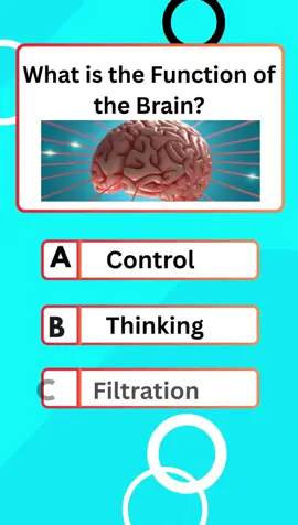 Function of the brain ? #quiz #quiztime #brain #education #LearnOnTikTok 