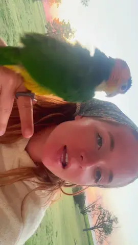 #kansas #scooter #joey #roadtrip #pets 